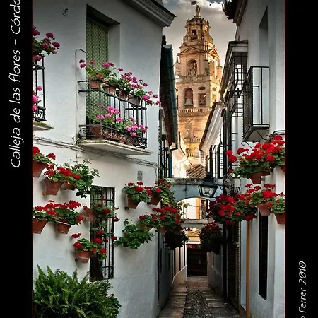 Luxury Viana *