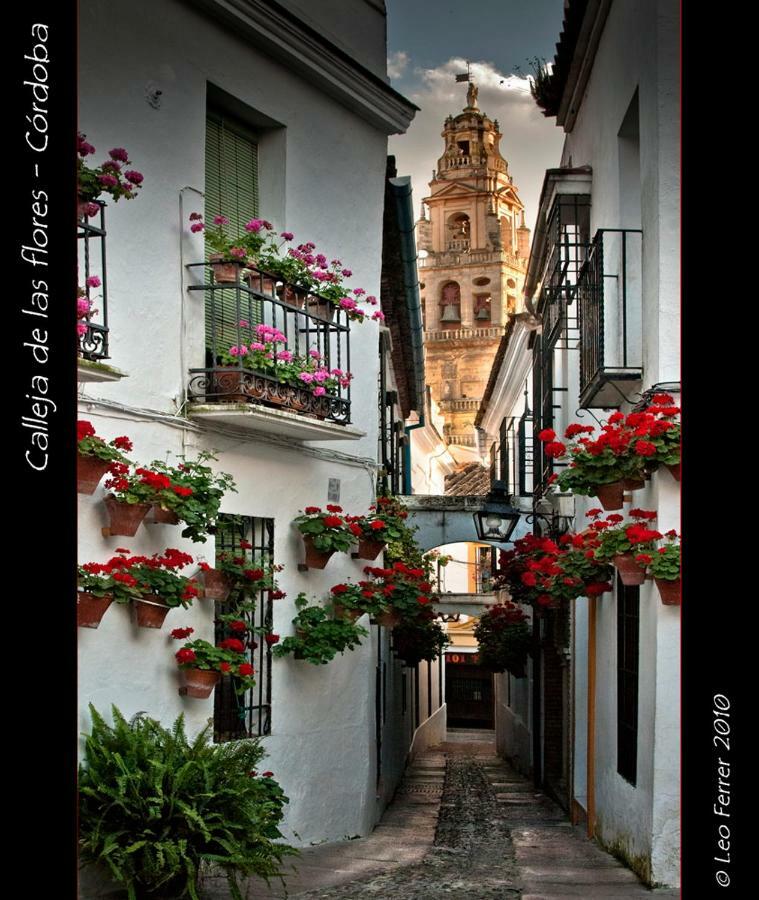 Apartment Luxury Viana Cordoba, Spain - book now, 2023 prices
